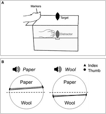 Reach-to-Grasp: A Multisensory Experience